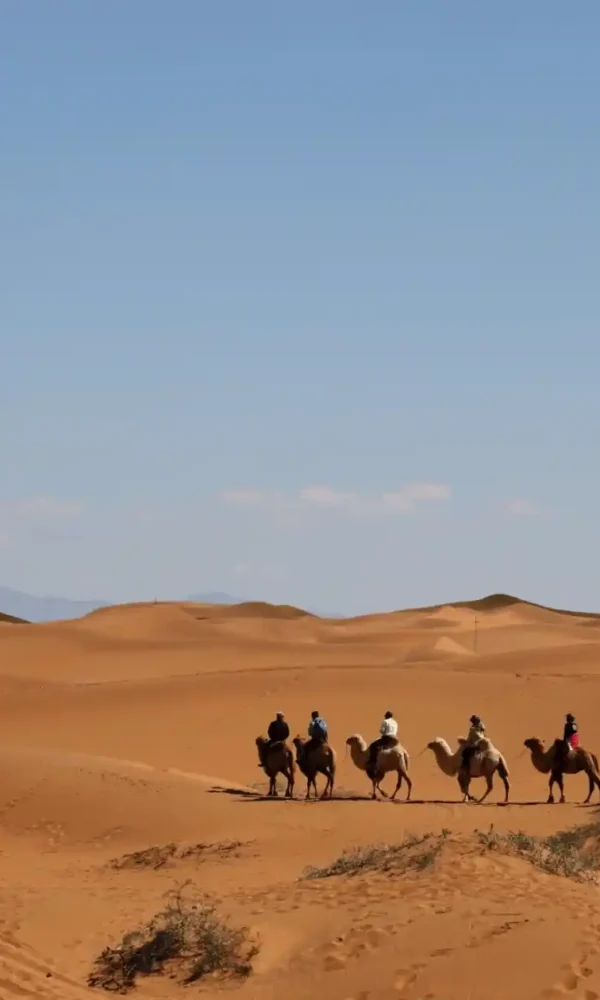 Desert Safari Dubai packages