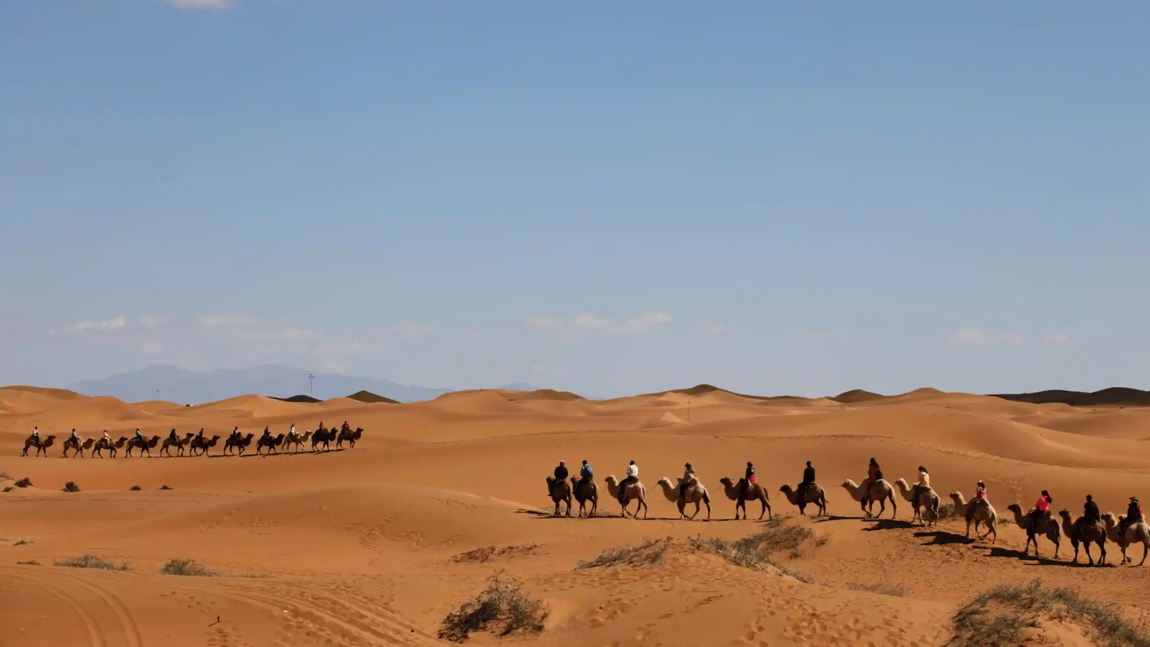 Desert Safari Dubai packages